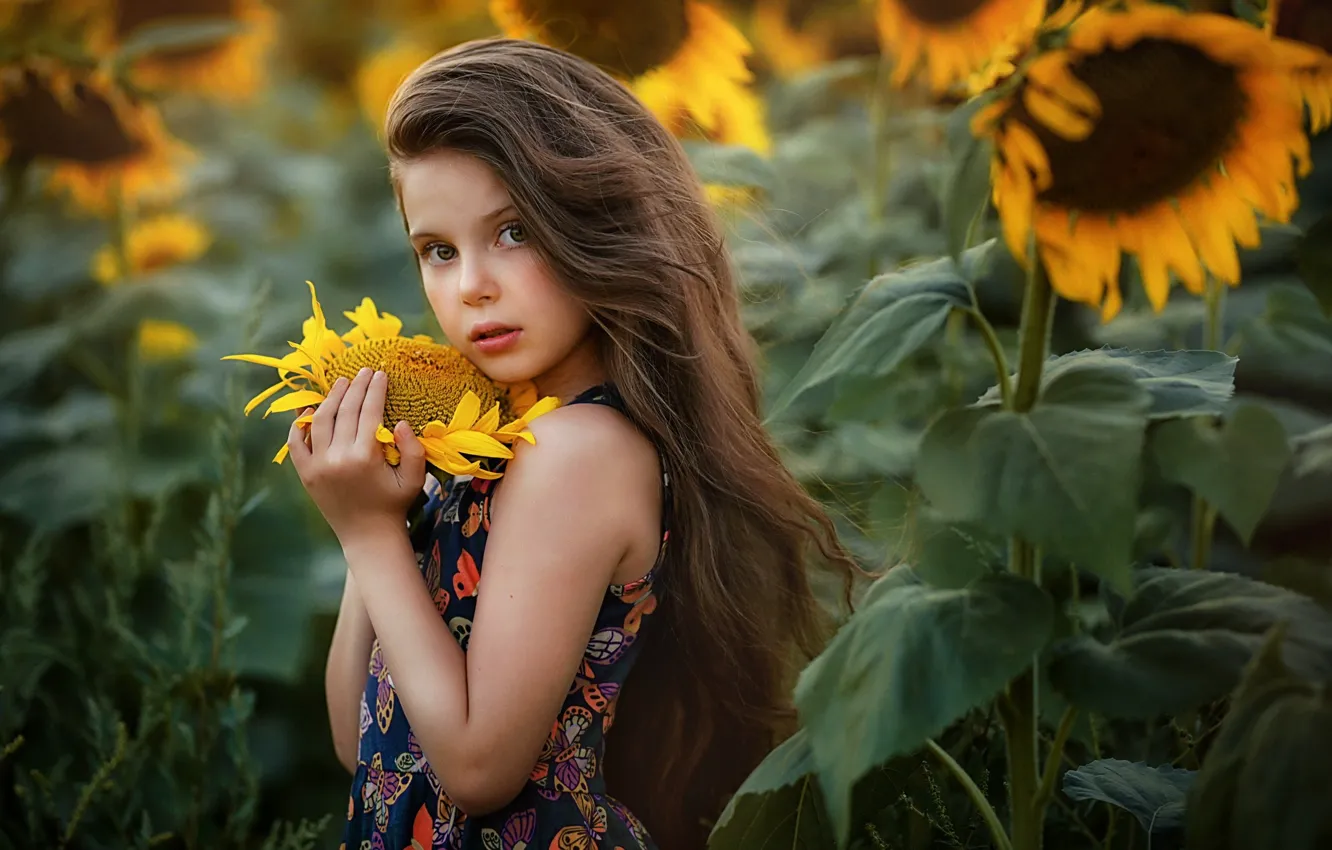 Photo wallpaper look, sunflowers, girl, long hair, Irina Ganich