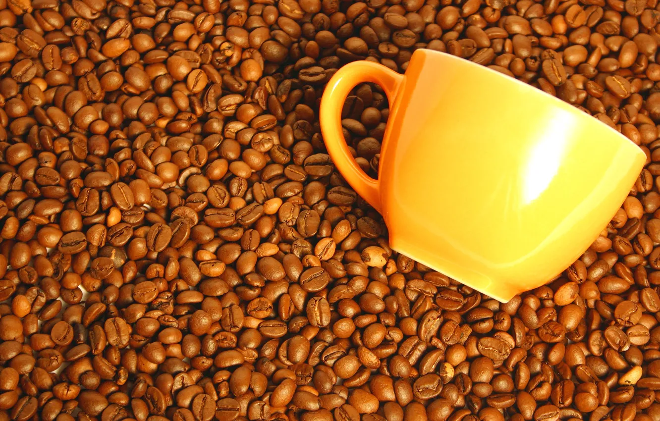 Photo wallpaper coffee, grain, Cup, coffee