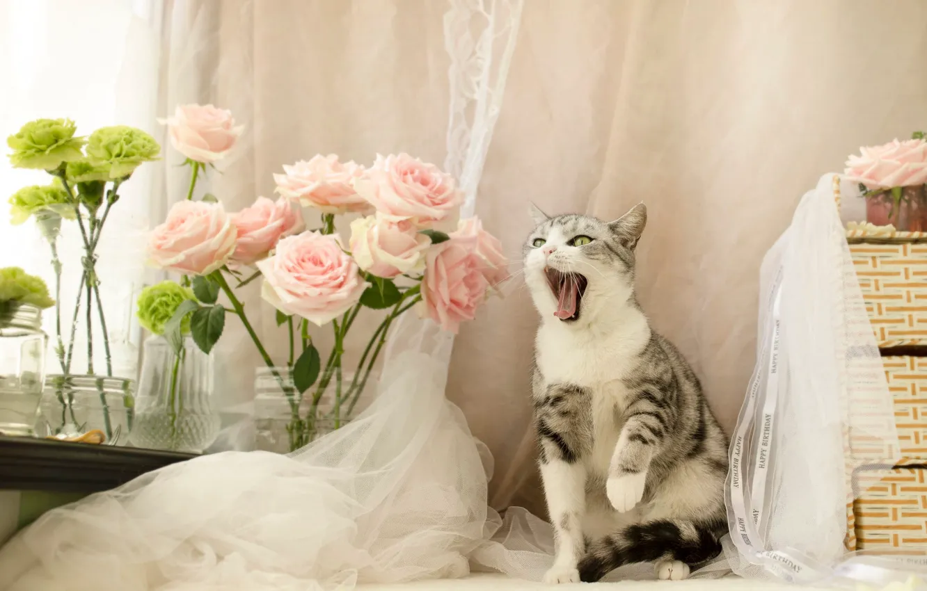 Photo wallpaper language, cat, cat, look, flowers, pose, room, roses