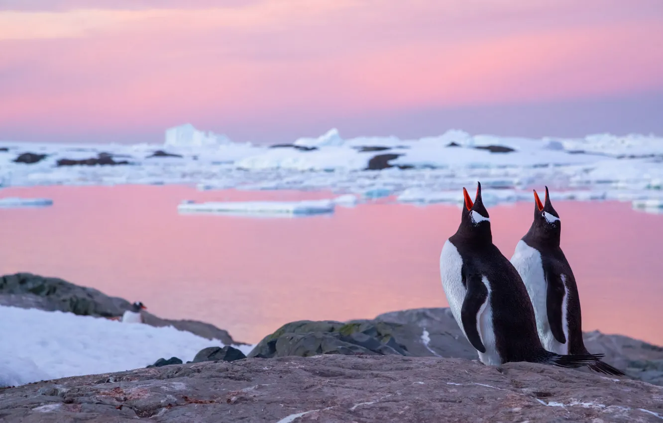 Photo wallpaper ice, winter, clouds, snow, nature, pose, stones, rocks