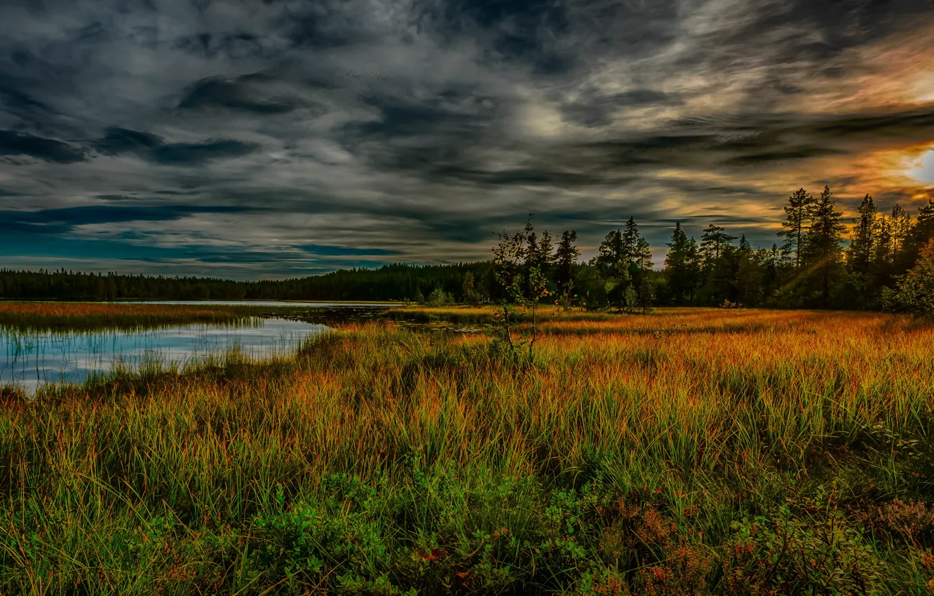 Photo wallpaper the sky, grass, clouds, trees, sunset, lake, HDR