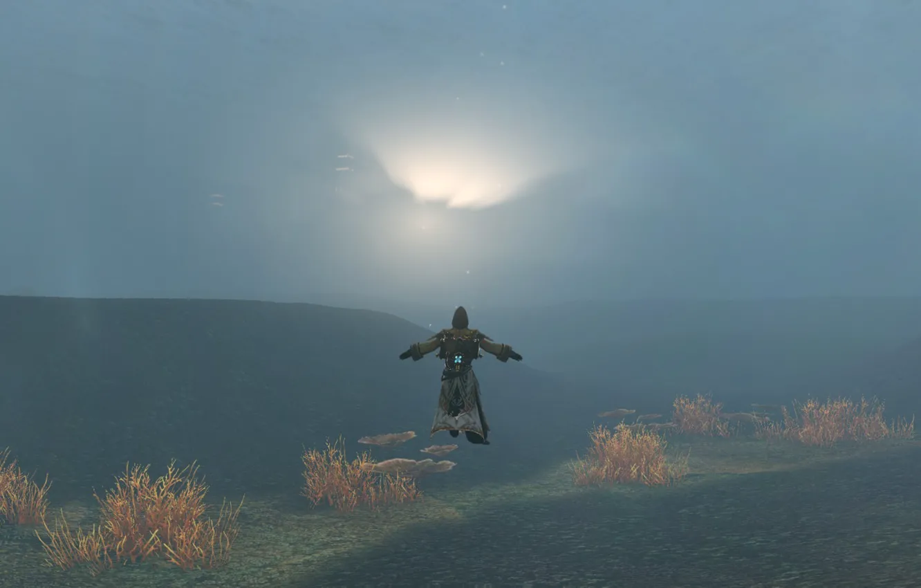 Photo wallpaper sea, diver, sandbox, MMORPG, archeage, mail.ru