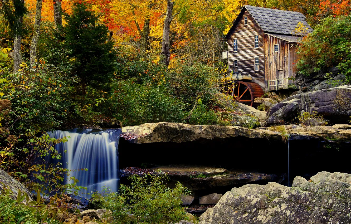 Photo wallpaper autumn, forest, trees, stones, waterfall, water mill