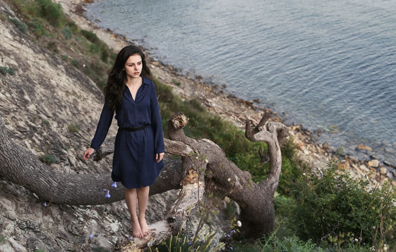 Photo wallpaper sea, look, girl, rock, stones, tree, sweetheart, shore