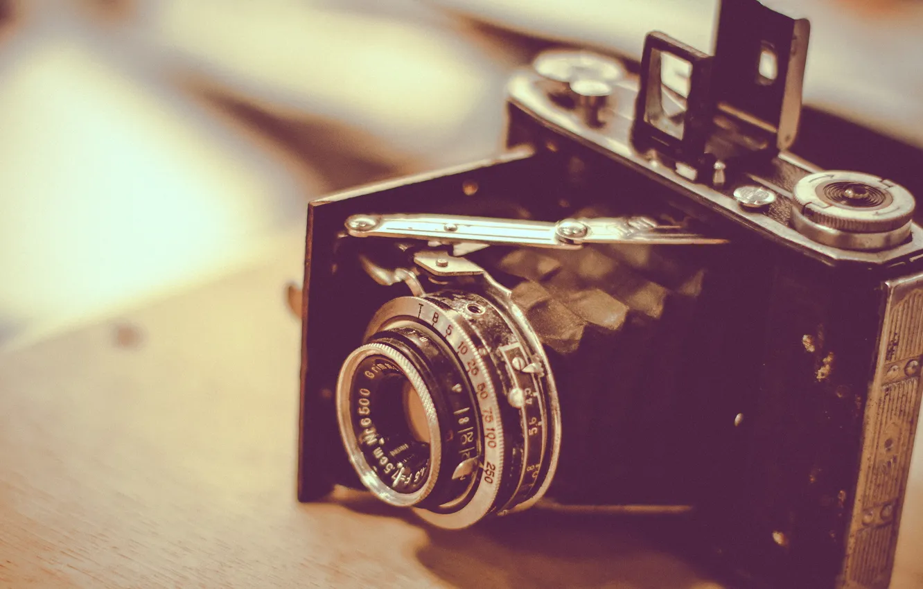 Photo wallpaper macro, background, camera