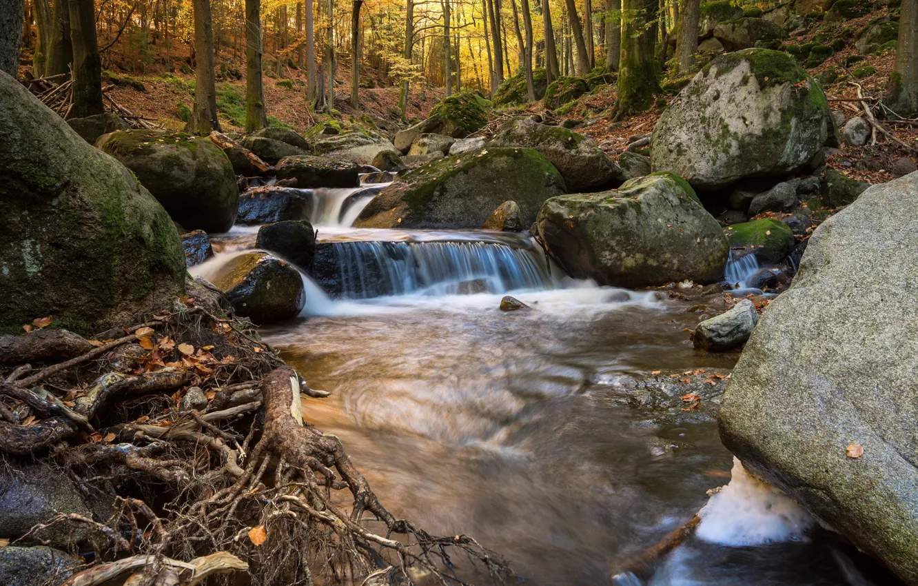 Photo wallpaper autumn, forest, water, river, stones, waterfall, hdr, river in the mountains