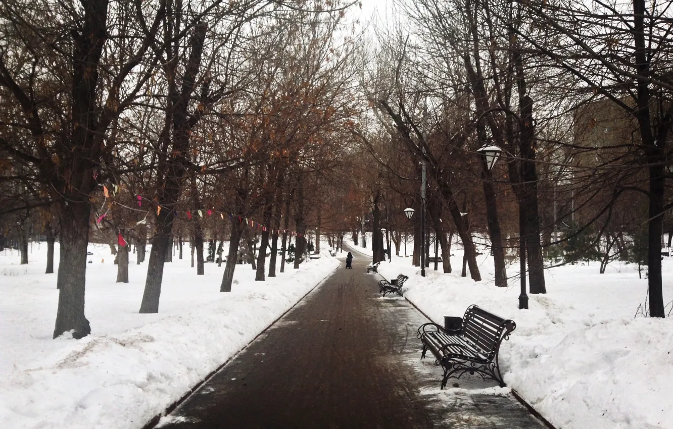 Photo wallpaper winter, road, snow, trees, square, bench