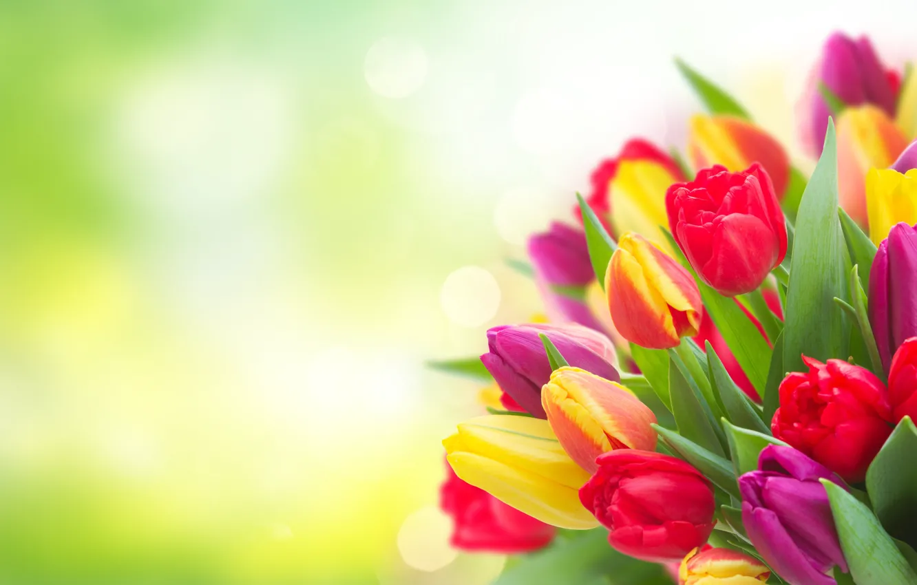 Photo wallpaper flowers, background, bright, bouquet, spring, yellow, tulips, red