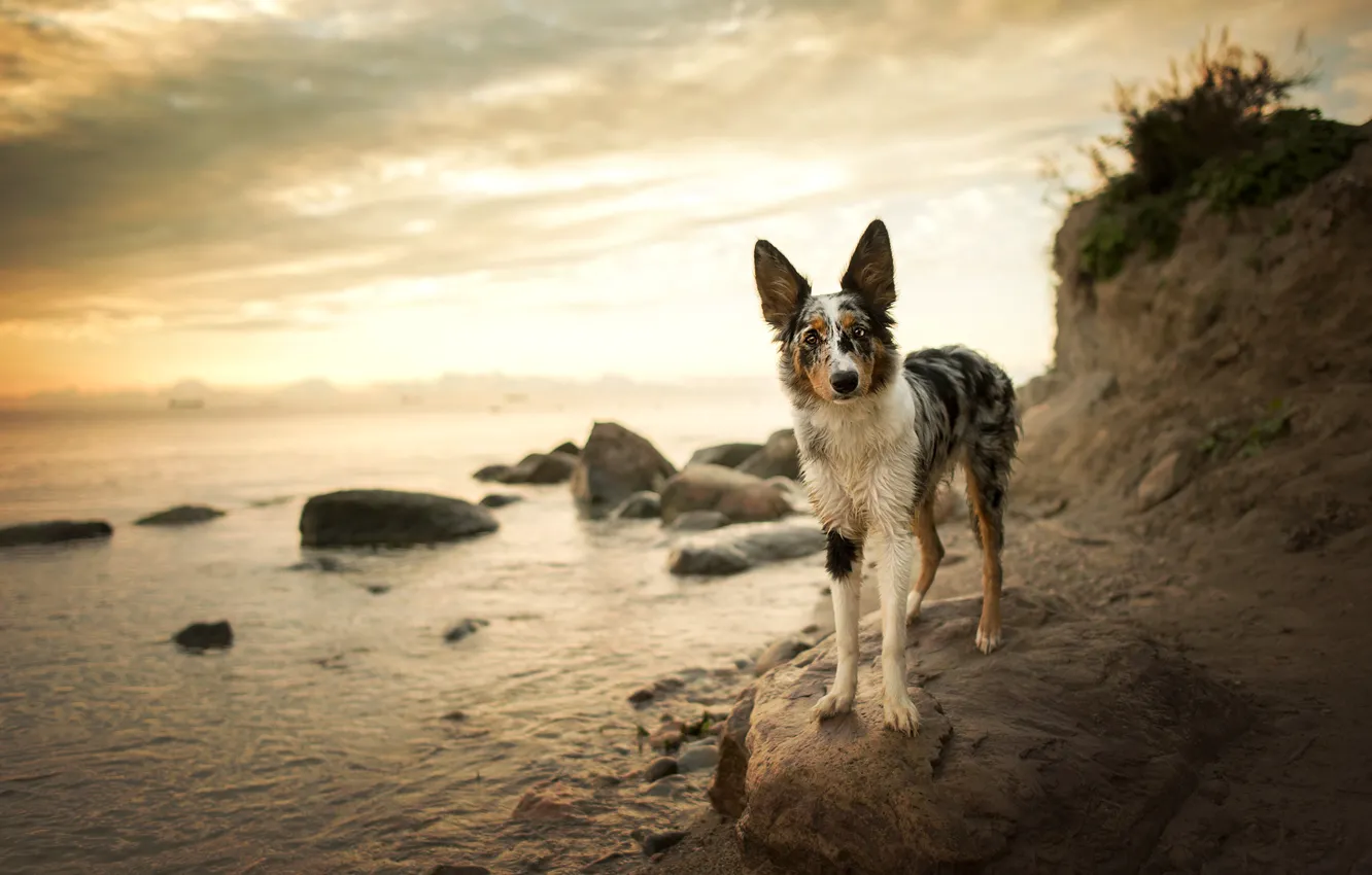 Photo wallpaper beach, the sky, look, face, clouds, nature, pose, stones