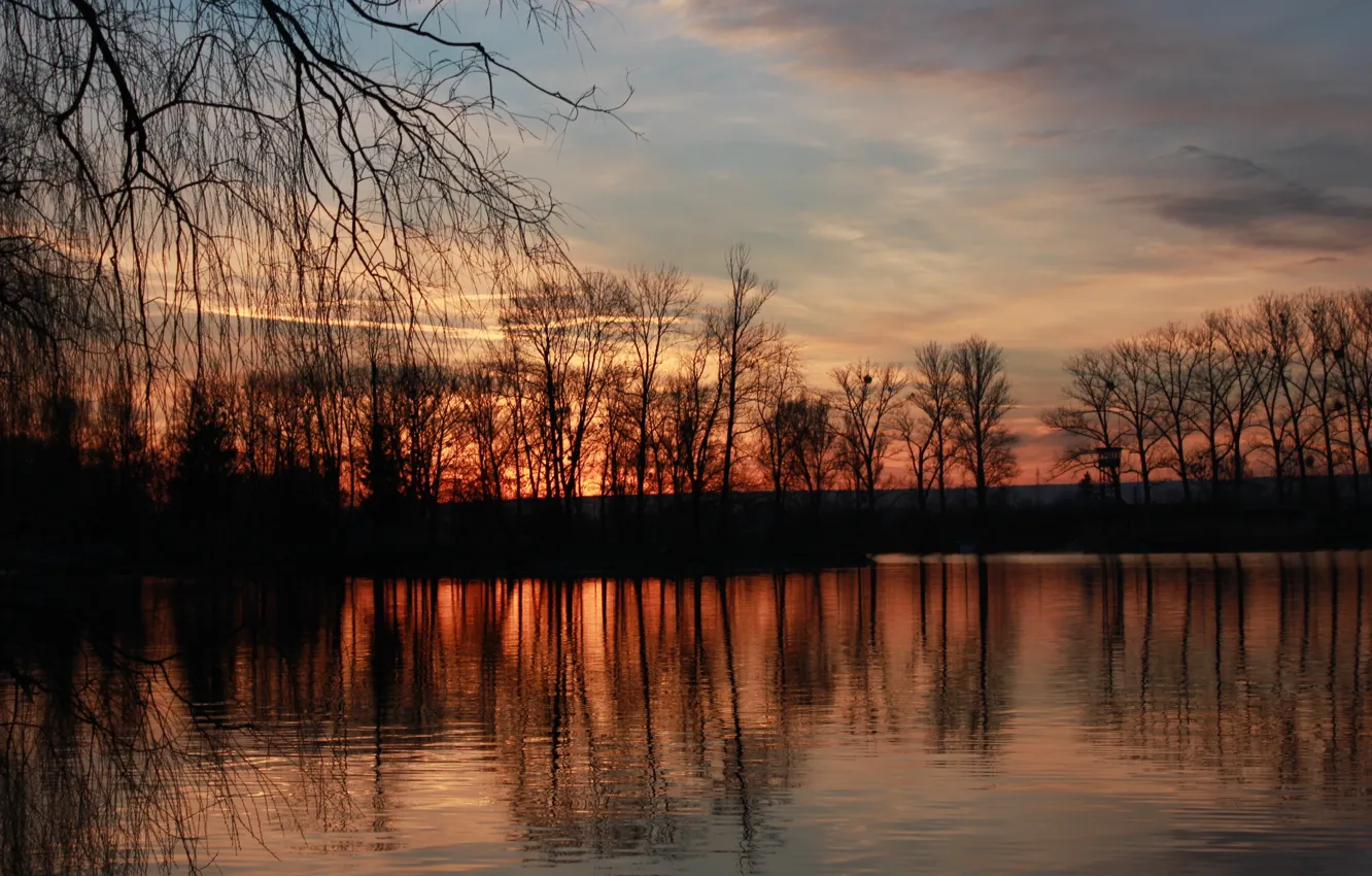 Photo wallpaper sunset, lake, wood, Ivano-Frankivsk
