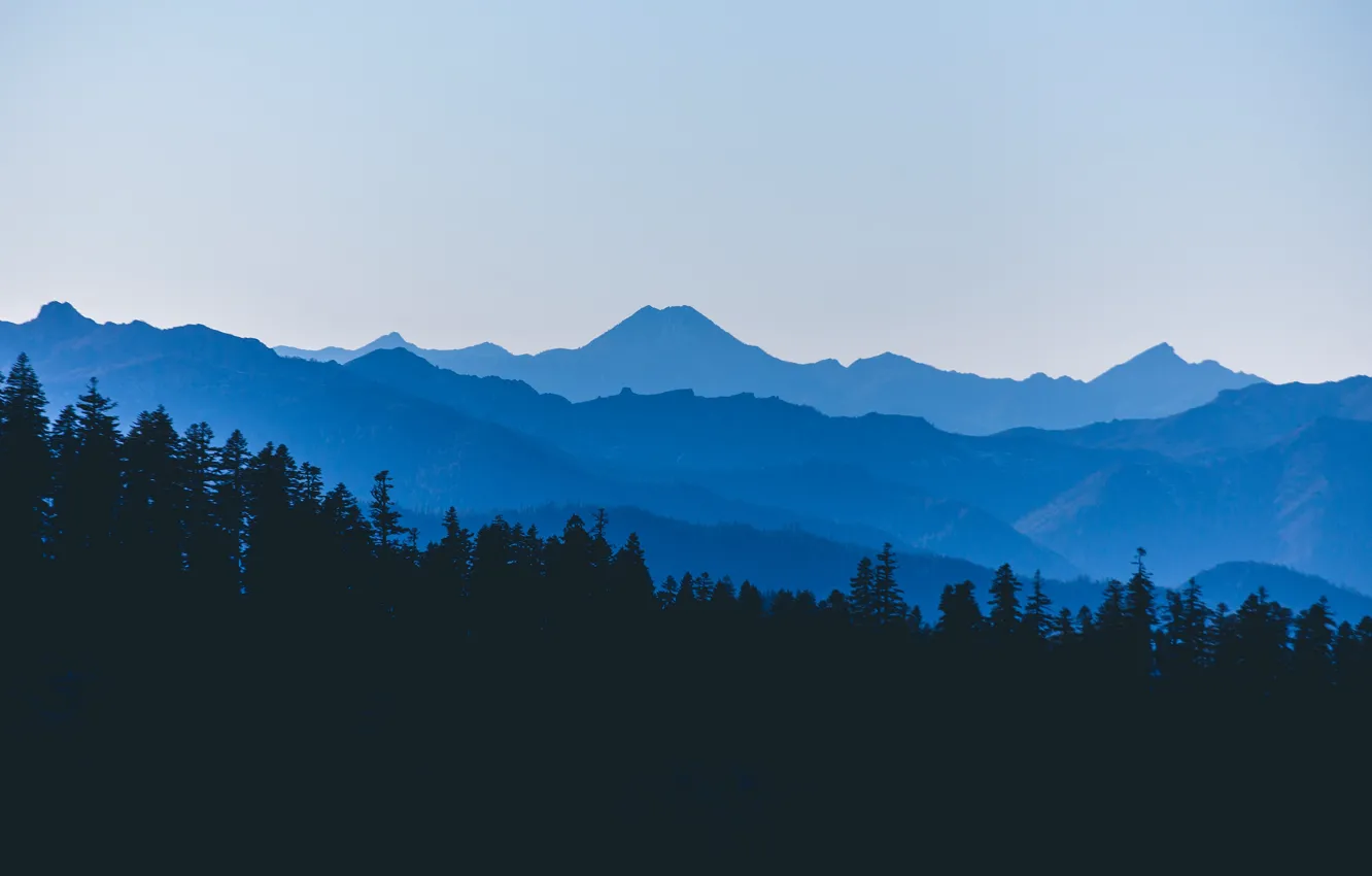 Photo wallpaper forest, mountains, shadow, haze