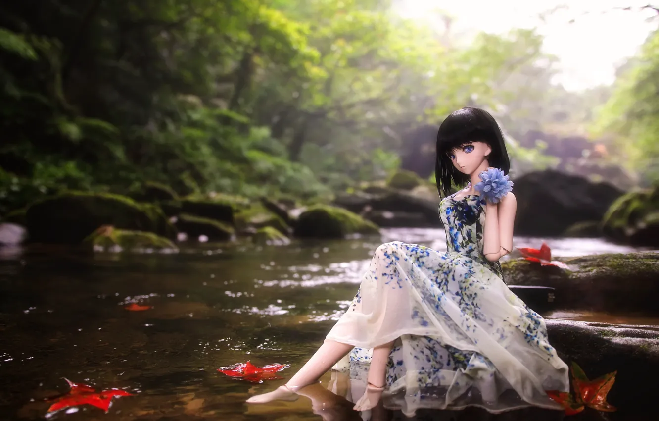 Photo wallpaper water, river, toy, doll, dress