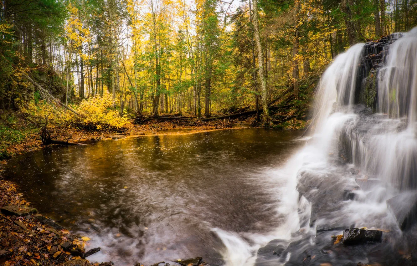 Photo wallpaper autumn, forest, trees, shore, waterfall, stream, pond