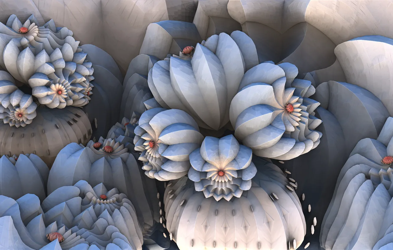 Photo wallpaper macro, form, buds, 3D graphics
