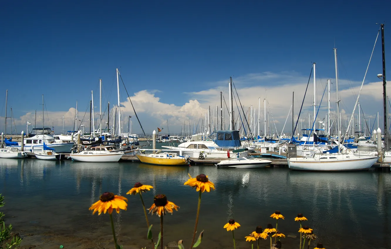 Photo wallpaper the sky, flowers, boat, Bay, yacht, harbour