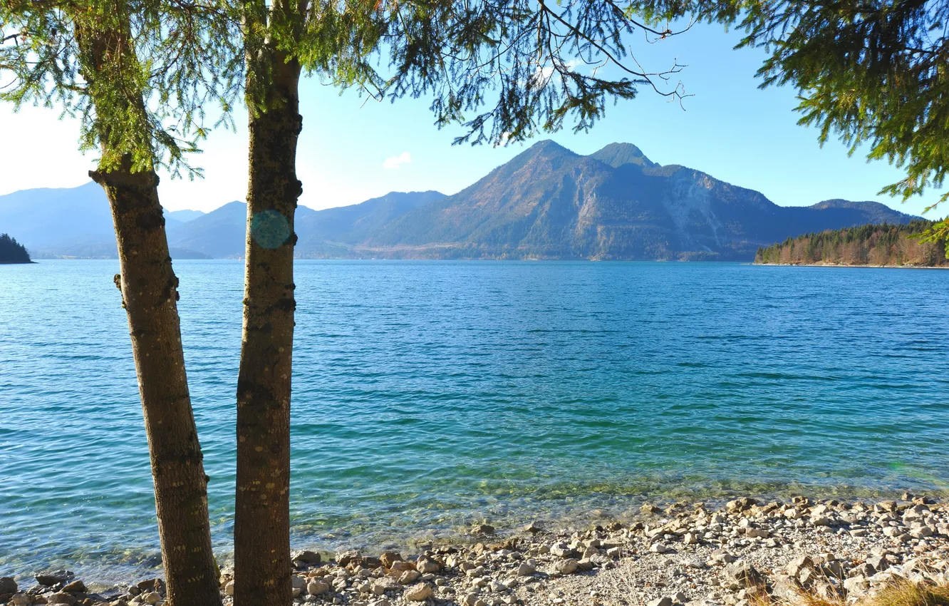 Photo wallpaper trees, landscape, mountains, nature, river, coast, Germany, trunk