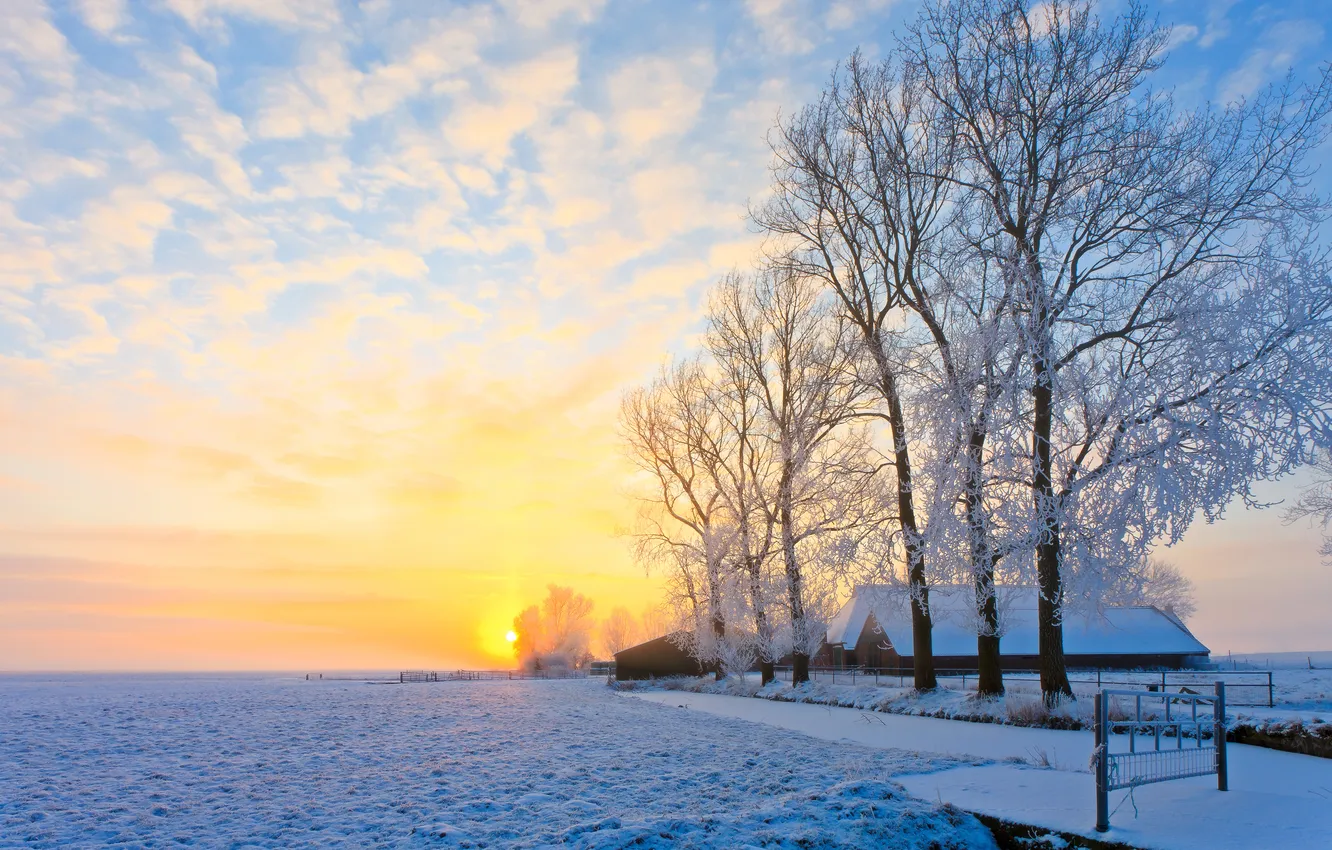 Photo wallpaper winter, the sun, snow, trees, home, village
