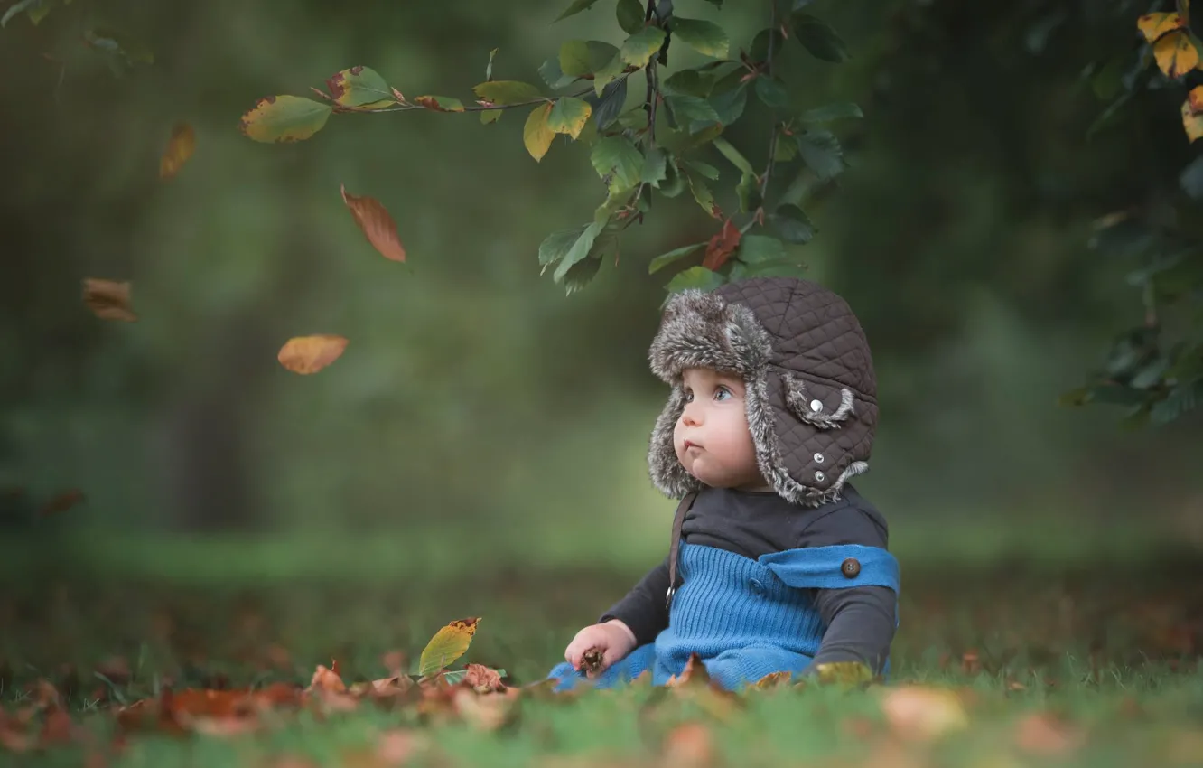 Photo wallpaper leaves, branches, nature, baby, child, toddler, Baksza Daniel