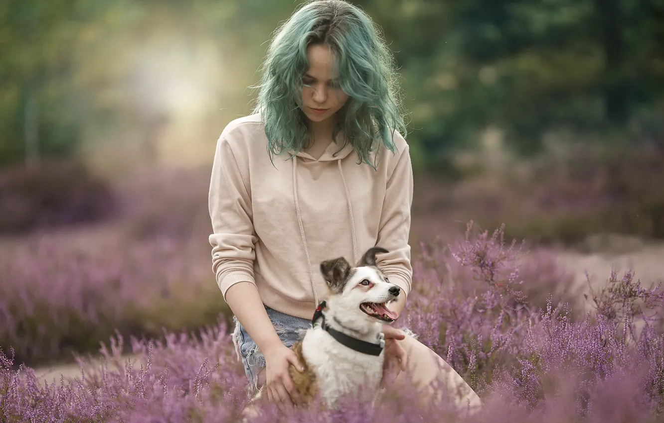 Photo wallpaper girl, nature, dog