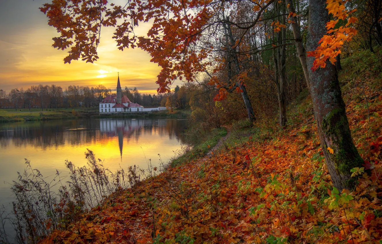 Photo wallpaper autumn, trees, sunset, river, foliage, the evening, Ed Gordeev