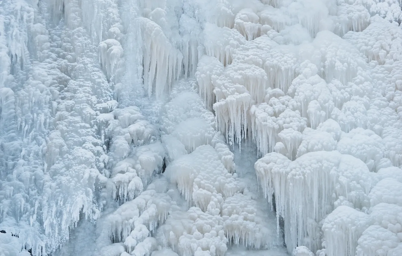 Photo wallpaper ice, winter, icicles, frost