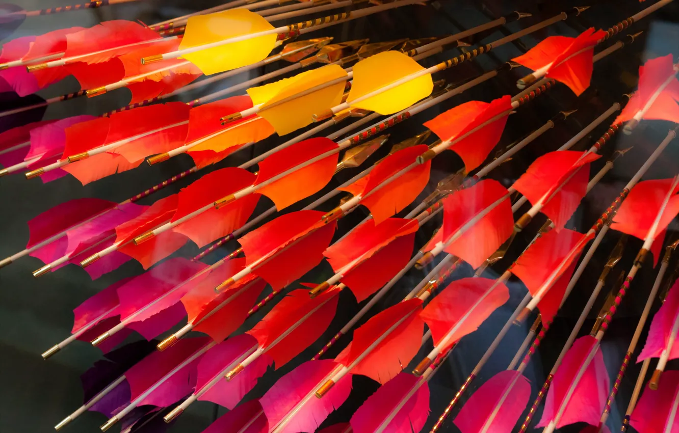 Photo wallpaper macro, background, arrows