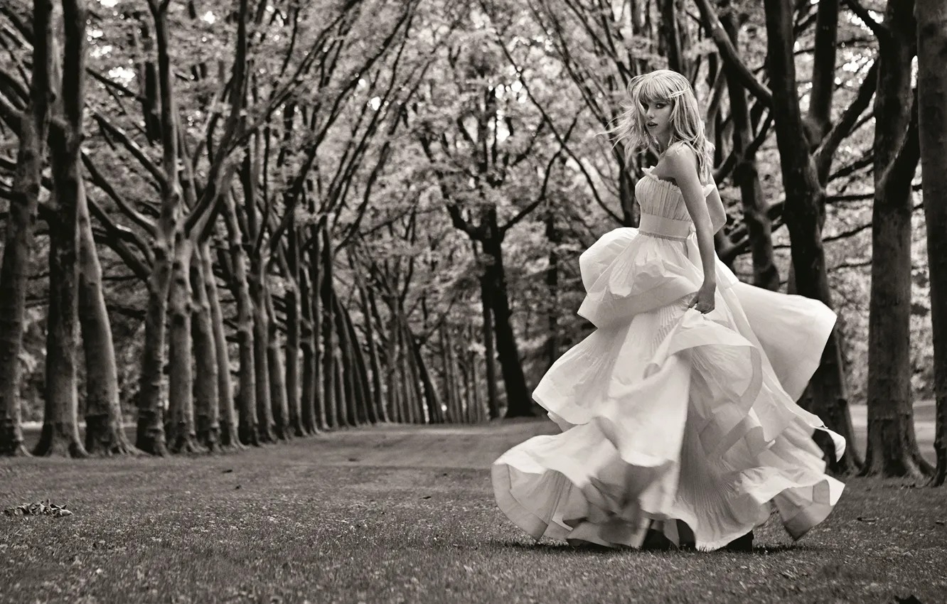 Photo wallpaper trees, Park, dress, actress, hairstyle, blonde, photographer, black and white