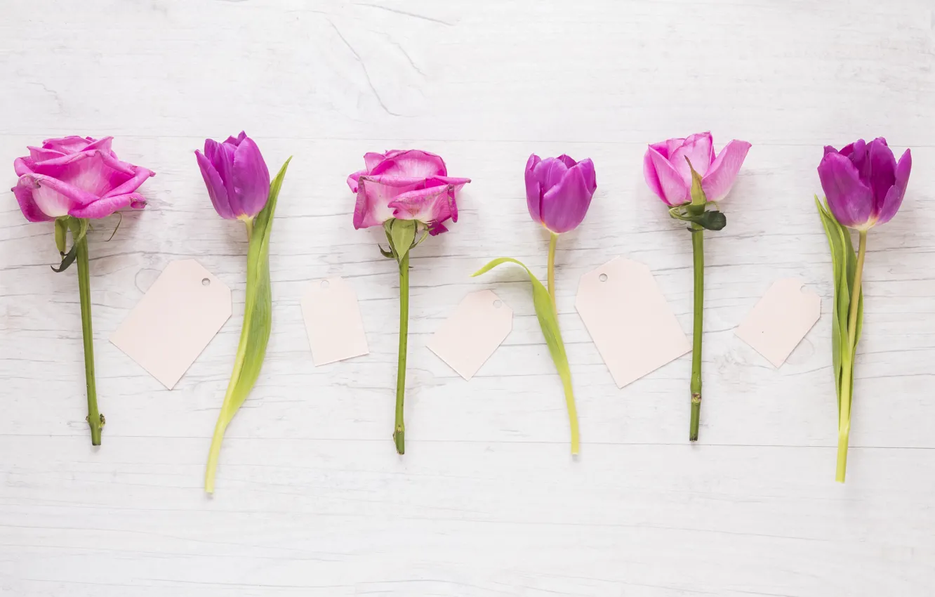 Photo wallpaper flowers, roses, tulips, pink, pink, romantic, tulips, purple