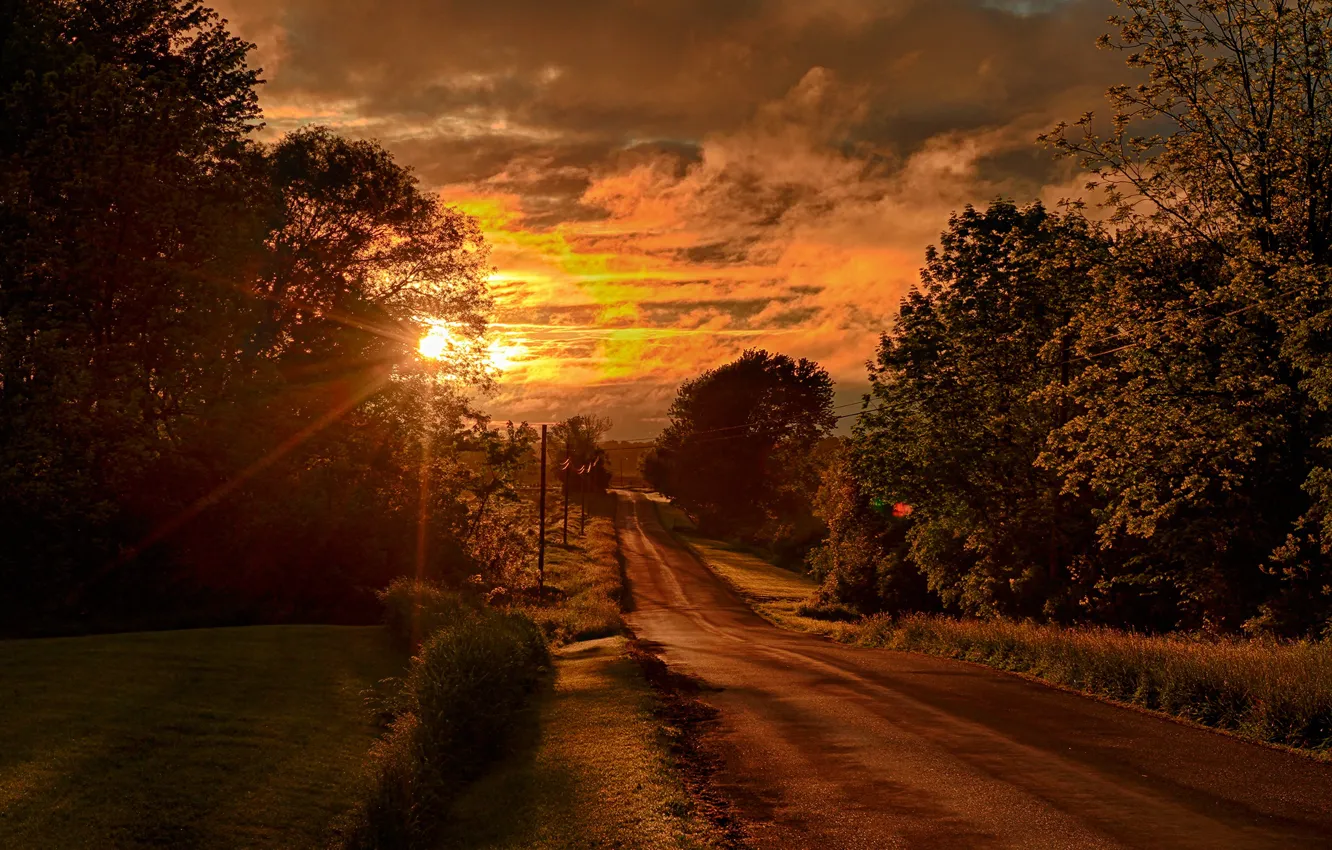 Photo wallpaper road, trees, sunset, the evening