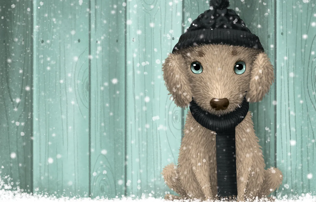 Photo wallpaper winter, snow, dog, emerald