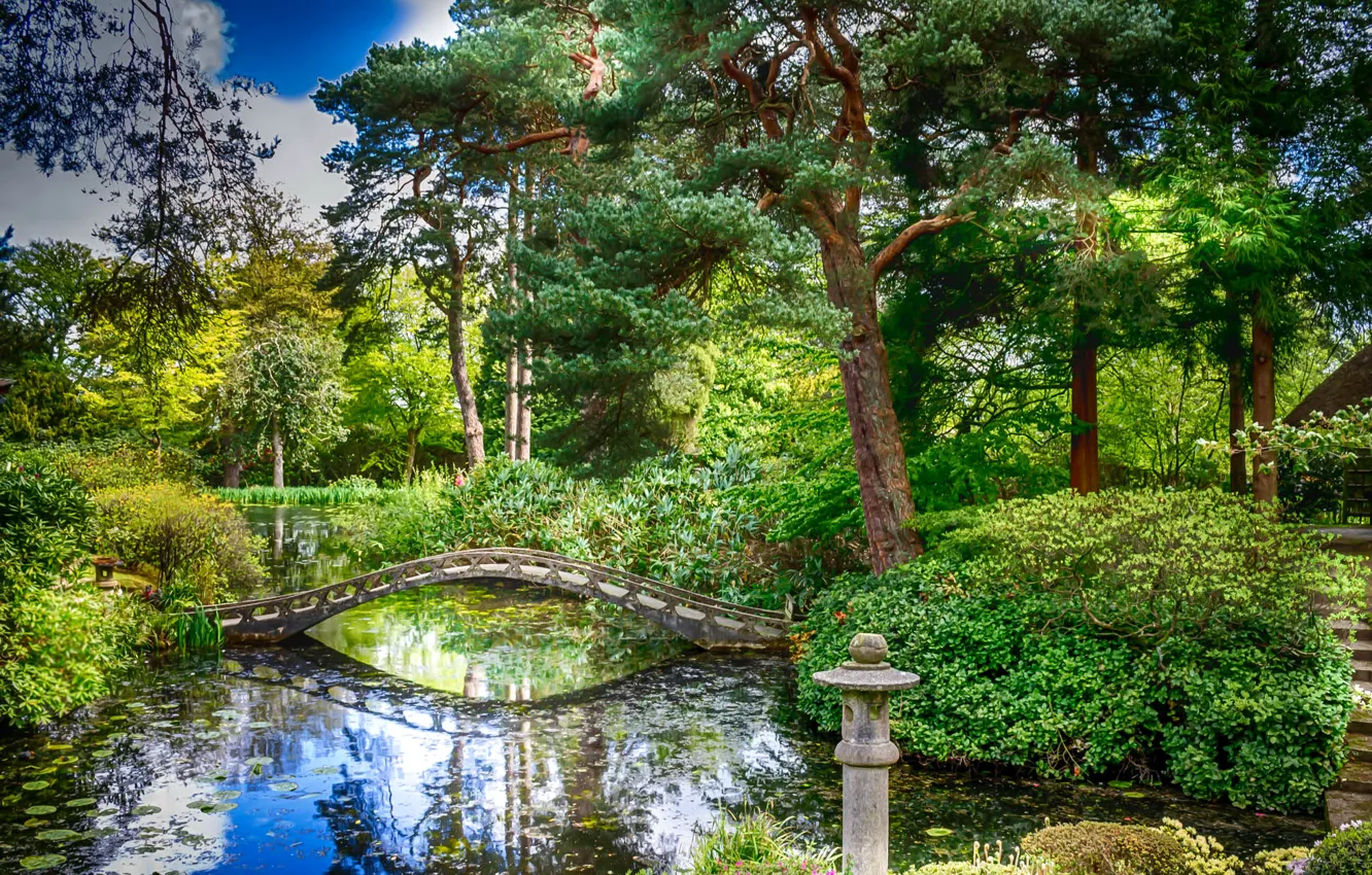 Photo wallpaper greens, trees, pond, Park, England, the bridge, the bushes, Tatton Hall