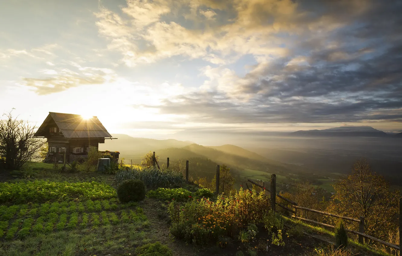 Photo wallpaper field, forest, the sky, the sun, clouds, trees, mountains, dawn