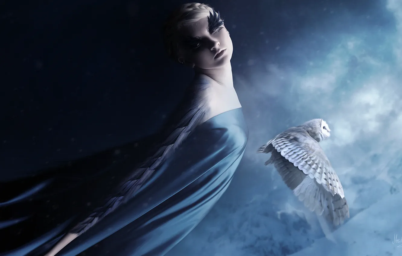 Photo wallpaper girl, fiction, owl, feathers, art