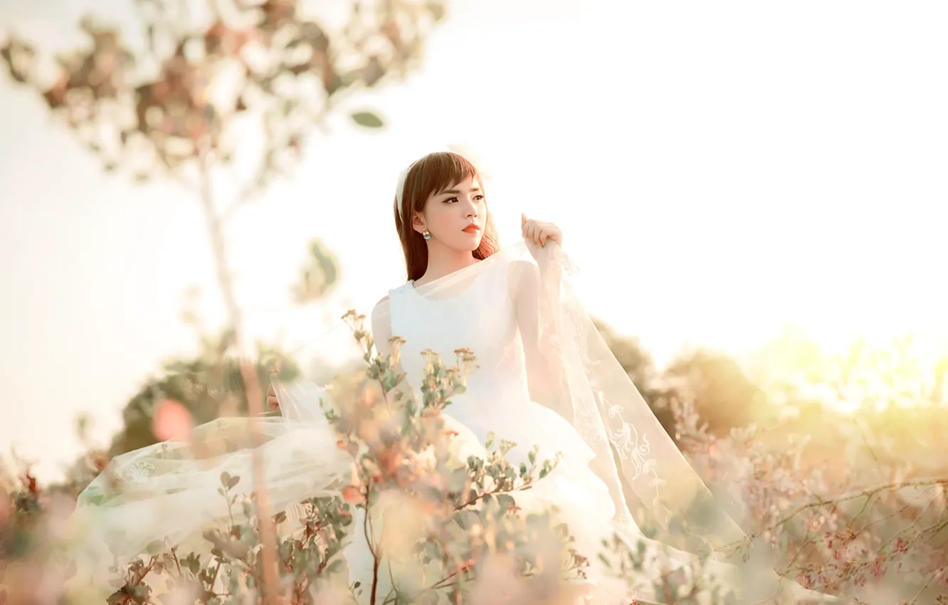 Photo wallpaper girl, light, Asian