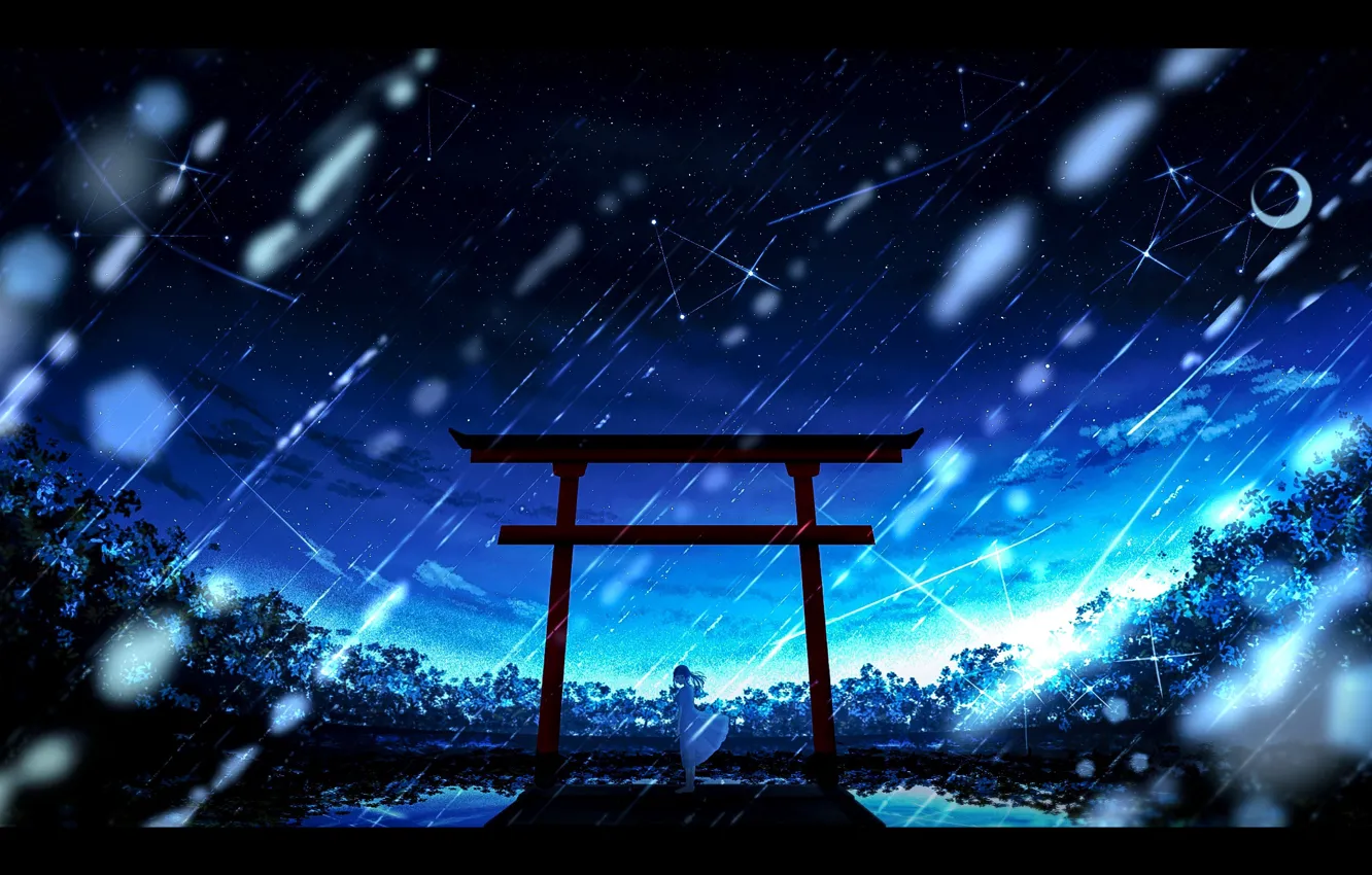 Photo wallpaper water, girl, night, torii, Starfall