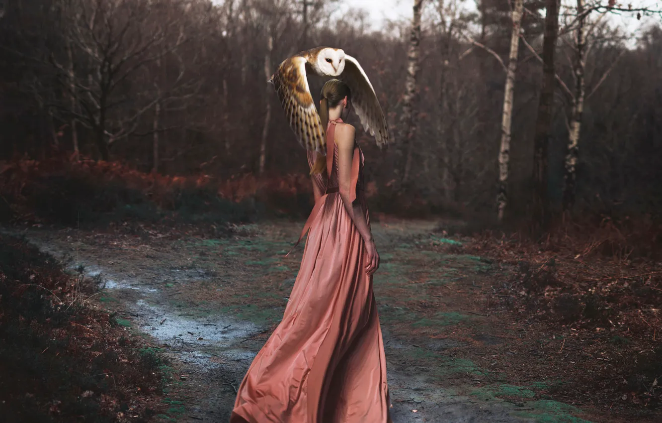 Photo wallpaper girl, flight, owl, bird