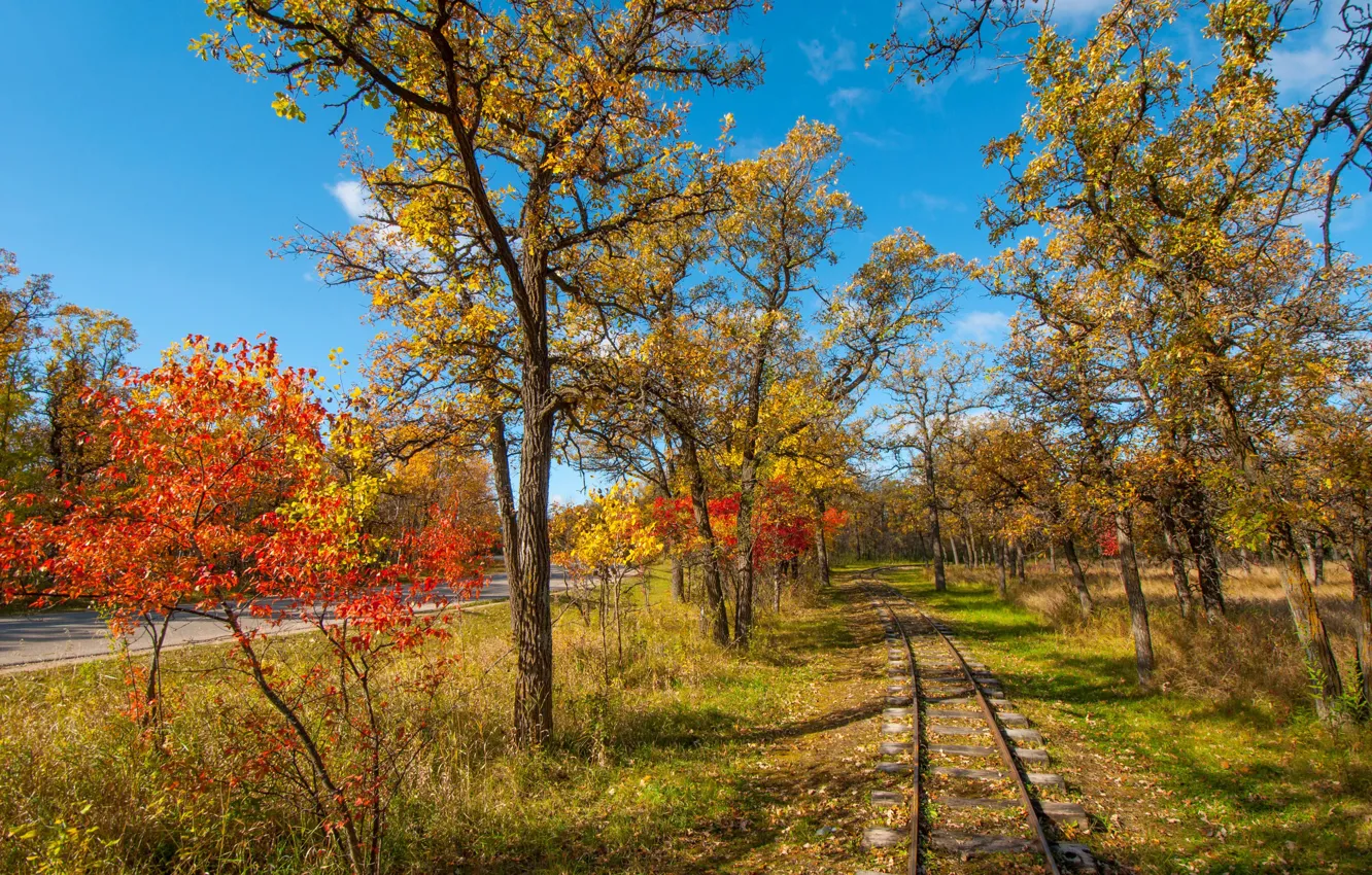 Photo wallpaper road, autumn, leaves, trees, Park, rails