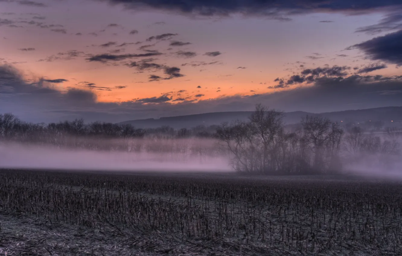Photo wallpaper field, the sky, clouds, trees, landscape, sunset, nature, fog