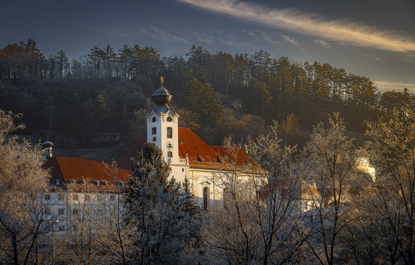Photo wallpaper frost, forest, trees, branches, Church, the bushes