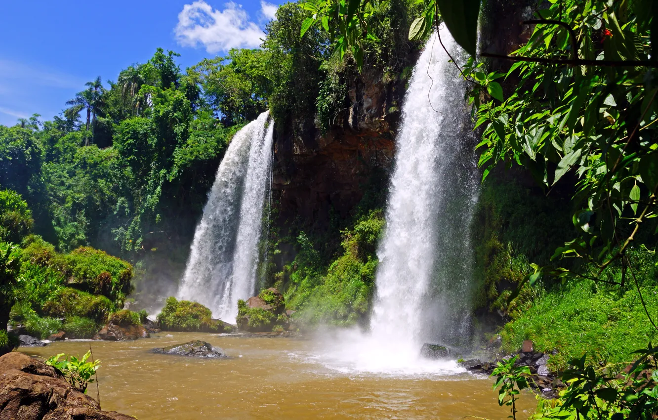 Photo wallpaper water, stones, waterfall, nature, Argentina, Argentina, Iguazu, trees.