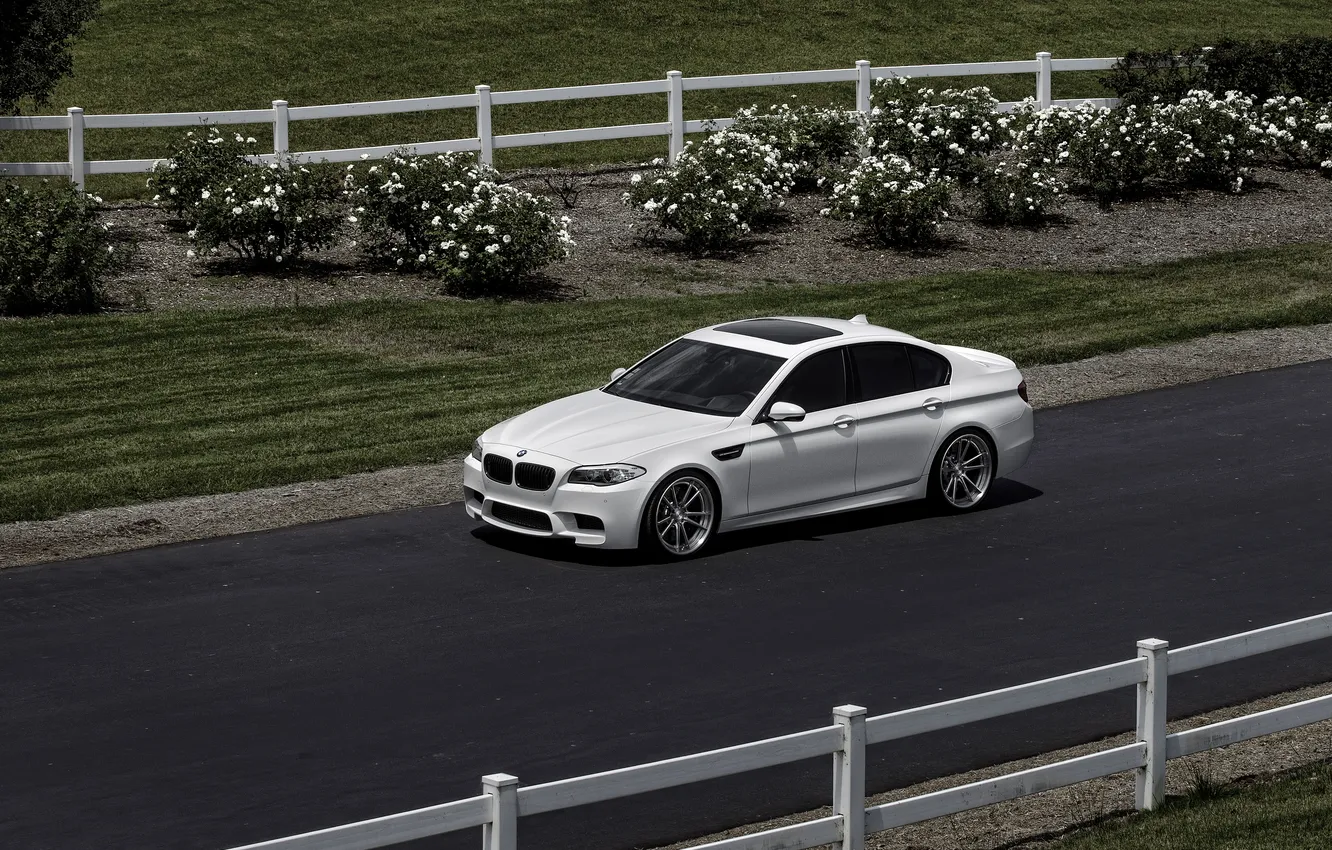 Photo wallpaper road, white, black, BMW, BMW, white, the view from the top, Luke