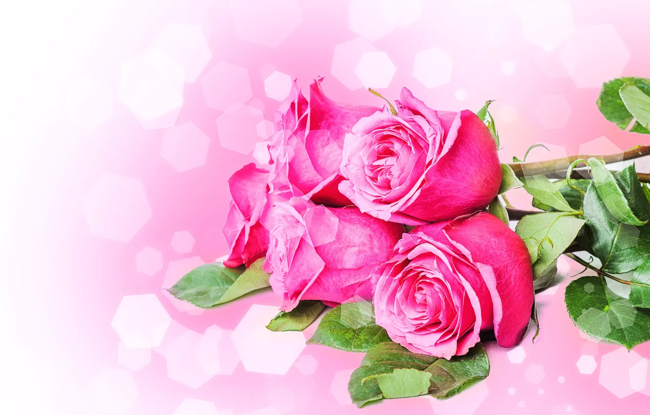 Photo wallpaper flowers, roses, bouquet, petals, stem, pink
