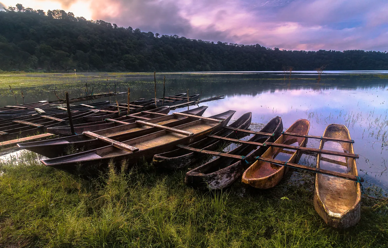 Photo wallpaper forest, summer, the sky, grass, water, the sun, clouds, light