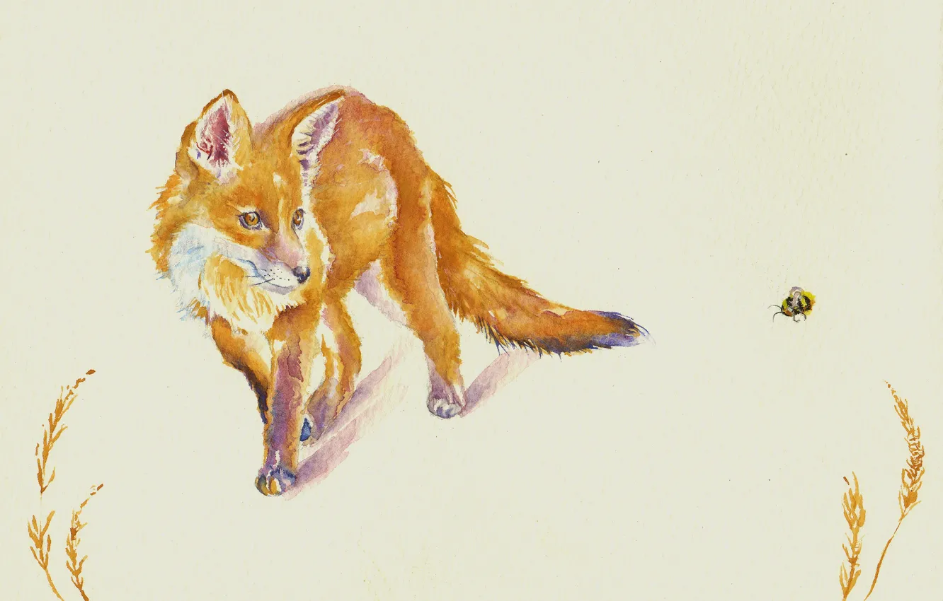 Photo wallpaper watercolor, Fox, bee, face