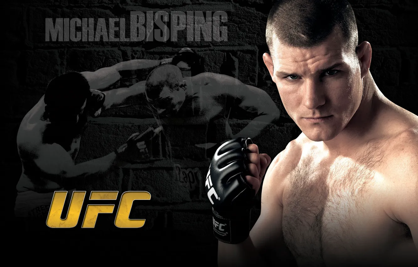 Photo wallpaper fighter, fighter, count, mma, ufc, mixed martial arts, michael bisping, Michael Bisping