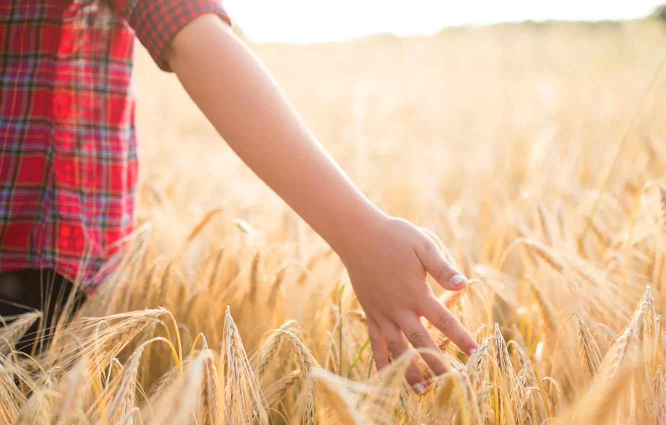 Photo wallpaper wheat, field, children, background, mood, widescreen, Wallpaper, rye
