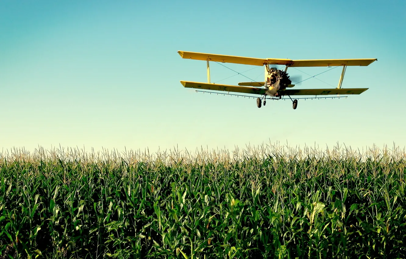 Photo wallpaper field, the sky, grass, the plane