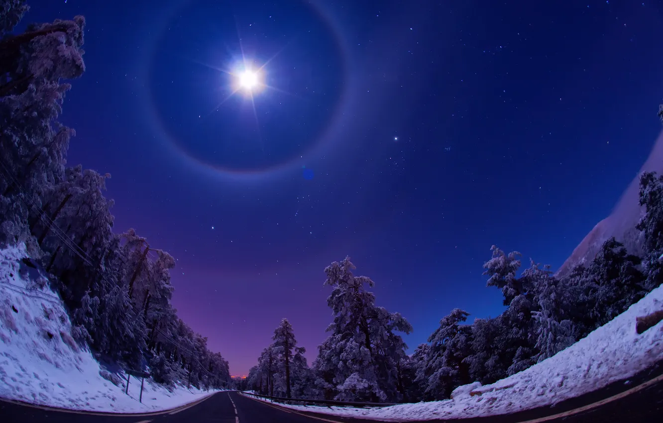 Photo wallpaper road, forest, the sky, stars, light, snow, night, the moon