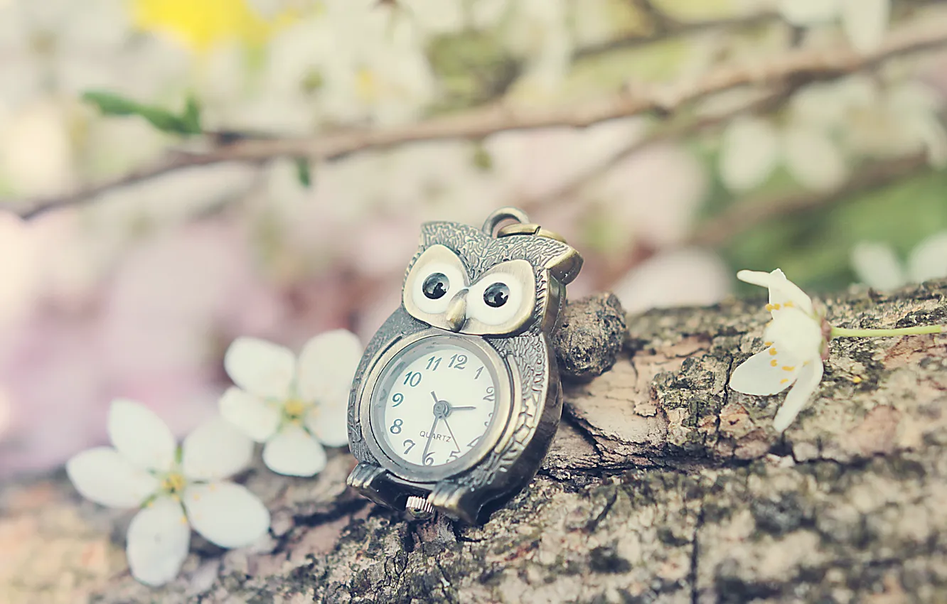 Photo wallpaper devianart, nature, oil, time of lovely flowers, silvermoonswan