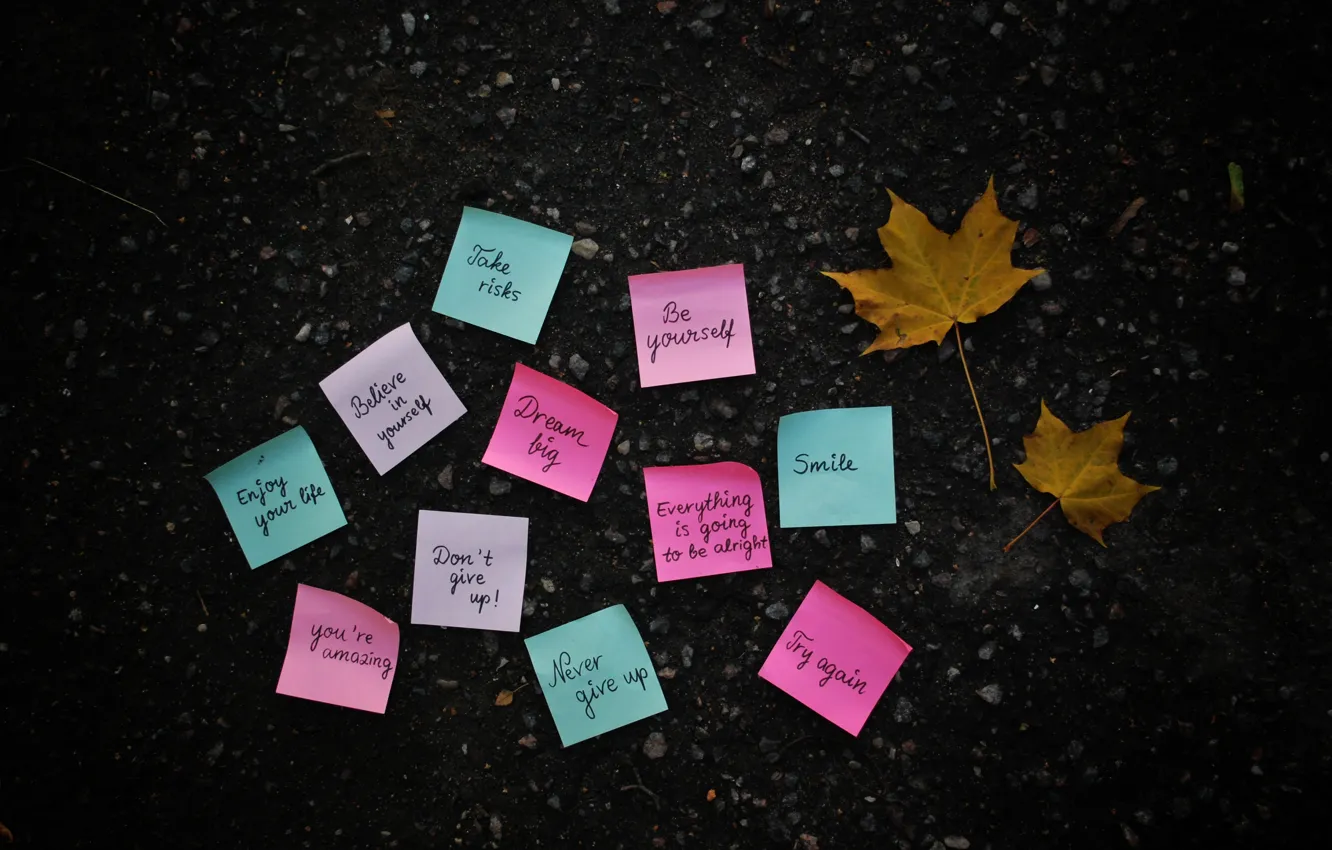 Photo wallpaper autumn, leaves, surface, paper, labels, earth, yellow, the phrase